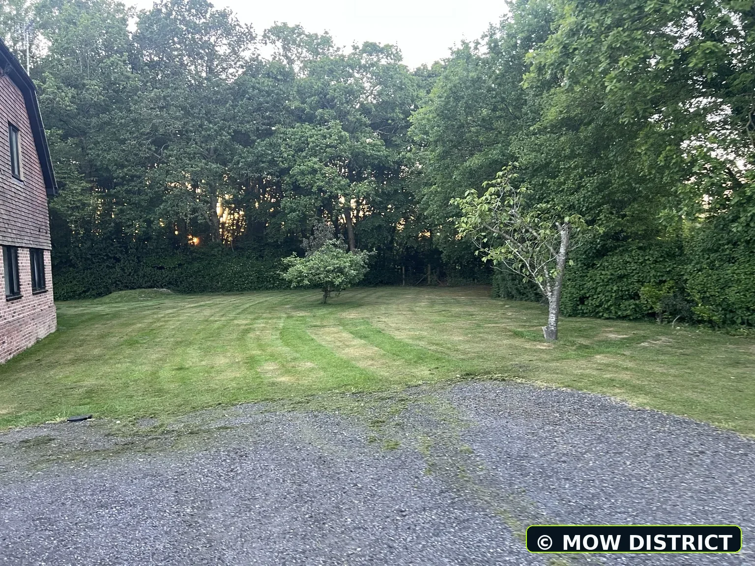 Rear lawn from another angle showing mowing pattern