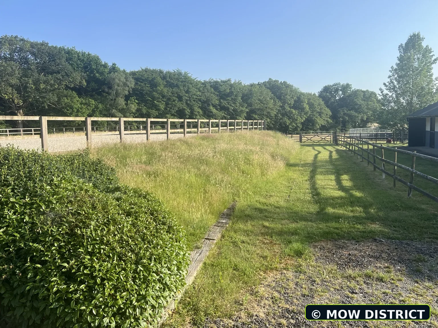 Before: overgrown bank and access route before cutting