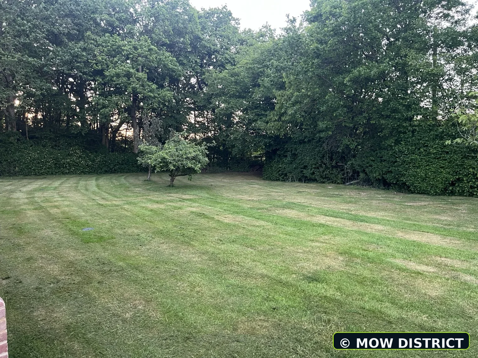 Freshly cut rear lawn with visible mowing lines